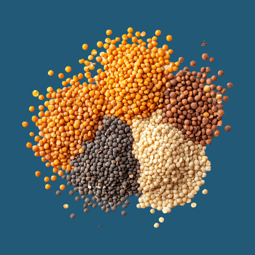 Seeds